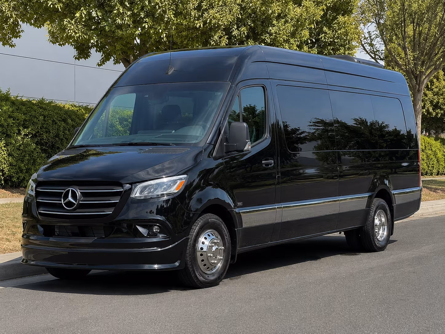 14 Passenger Sprinter Limo